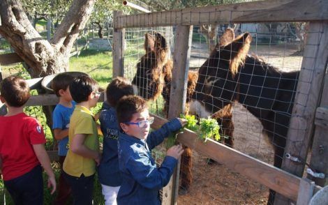 things to do with kids in puglia