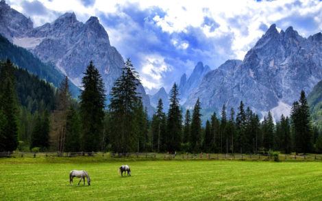 Panorama des Alpes italiennes